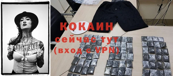 соль ск Гусь-Хрустальный