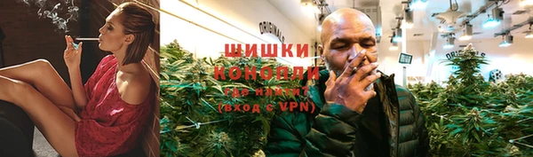 соль ск Гусь-Хрустальный